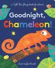 Goodnight, Chameleon!