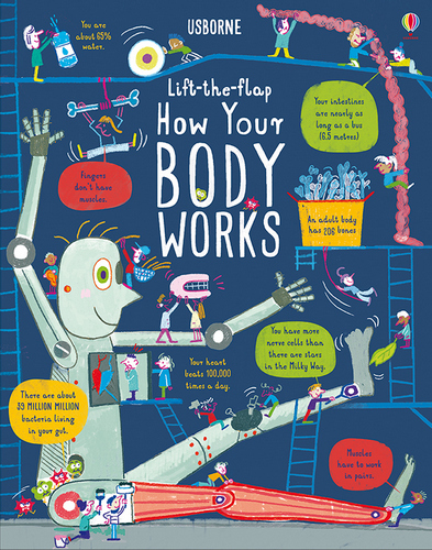 Lift-the-Flap How Your Body Works