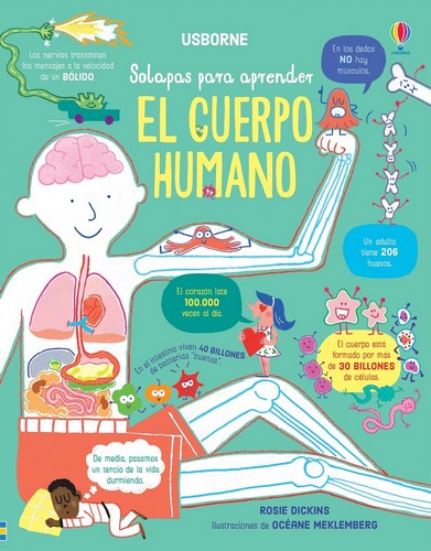 El cuerpo humano (Lift-the-flap, How Your Body Works)
